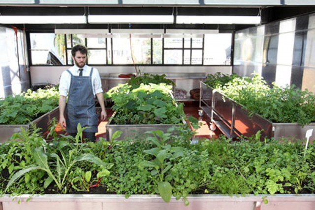 RESTAURANTE / TUJU
