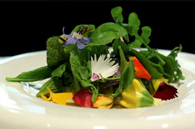 Salada da horta