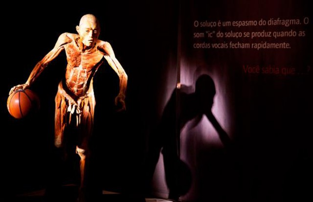 expo_corpo_humano-rita_heroina