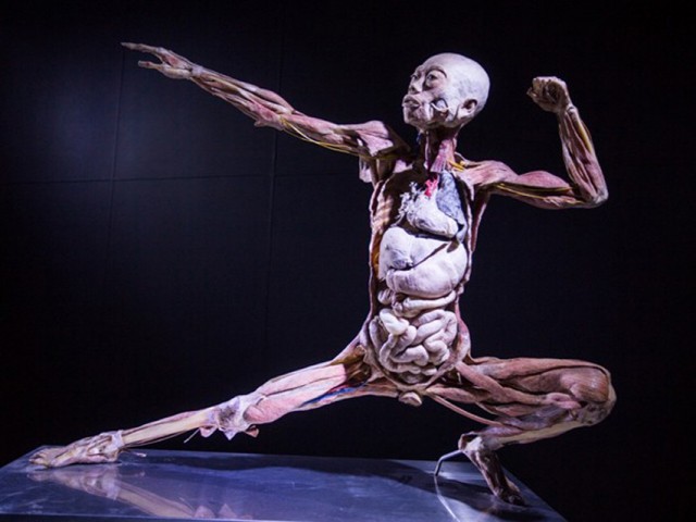 exposicao_corpo_humano-rita_heroina