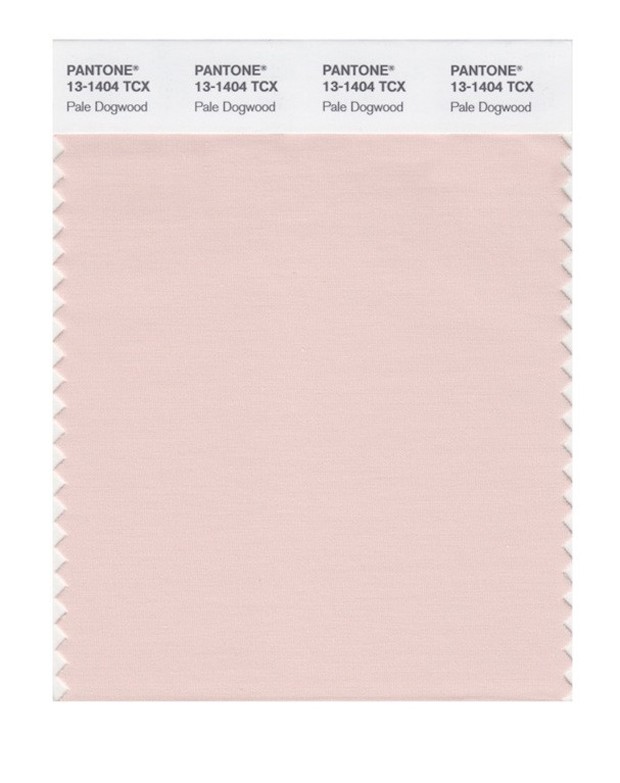 pantone-cor-da-primavera-paledogwood