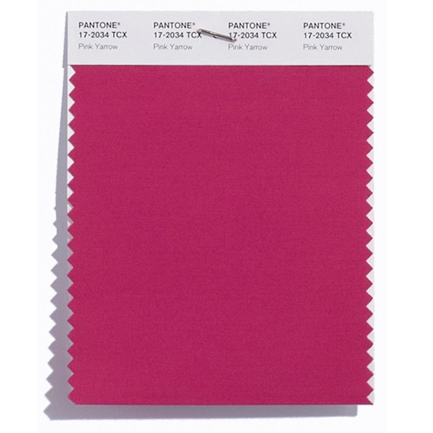 pantone-cor-da-primavera-pink-yarrow