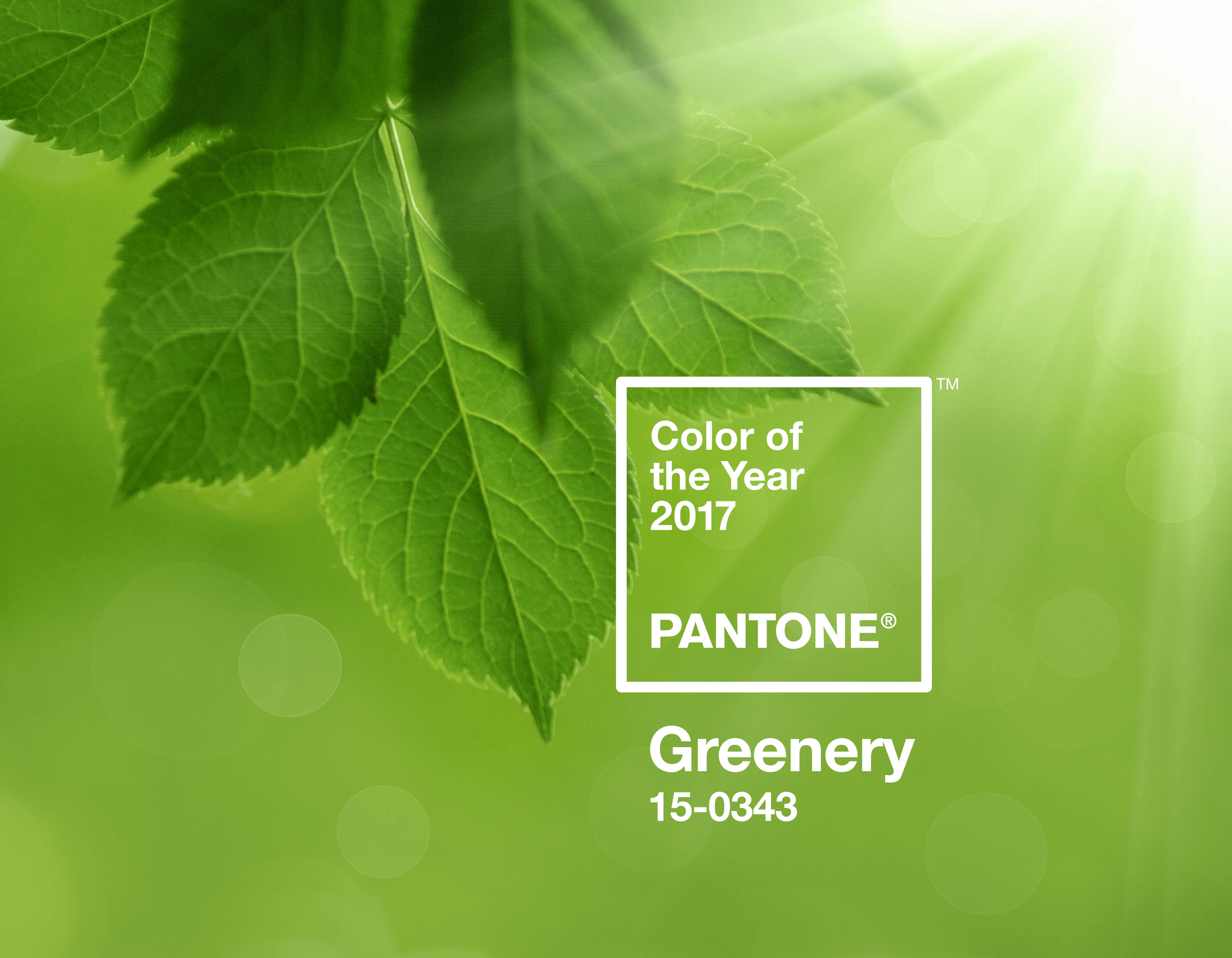 pantone_coy2017_heroshot1-rgb